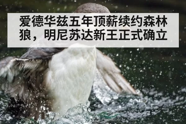 爱德华兹五年顶薪续约森林狼，明尼苏达新王正式确立